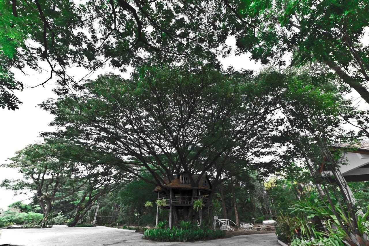 Tree House Hotel Sisaket Zewnętrze zdjęcie